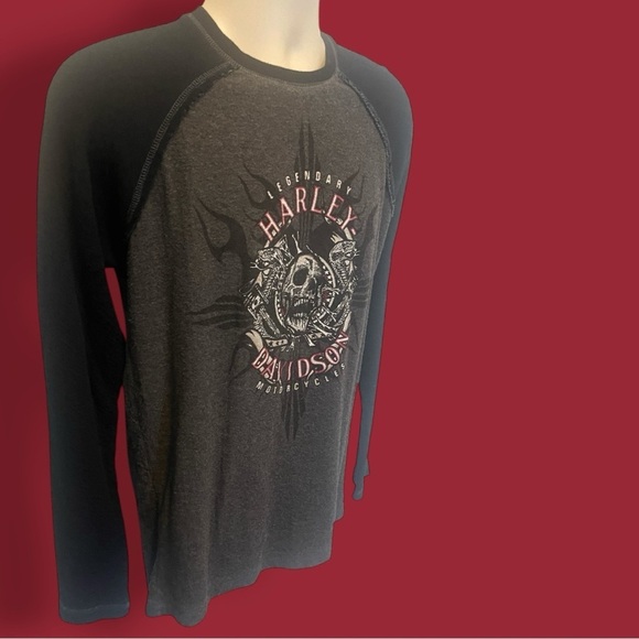 Harley Davidson Men's Distressed Seam Two Tone Skull Top Size Large - Picture 2 of 11